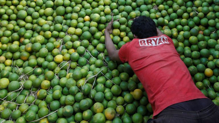 cee550be-c5ae-4f34-827a-688dfb486d7e